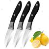 Fruit Peeler Knife Stainless Steel Vegetable Fruit Knife Anti-Slip Black Handle Perfect for Kitchen Fruit Paring Cutter Knife