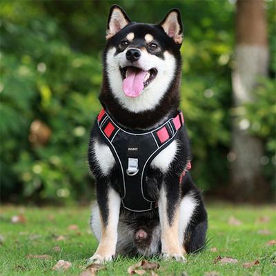 SLC Pet ultraľahký postroj pre malé psy, stredne veľké psy a veľké psy, čierny a červený