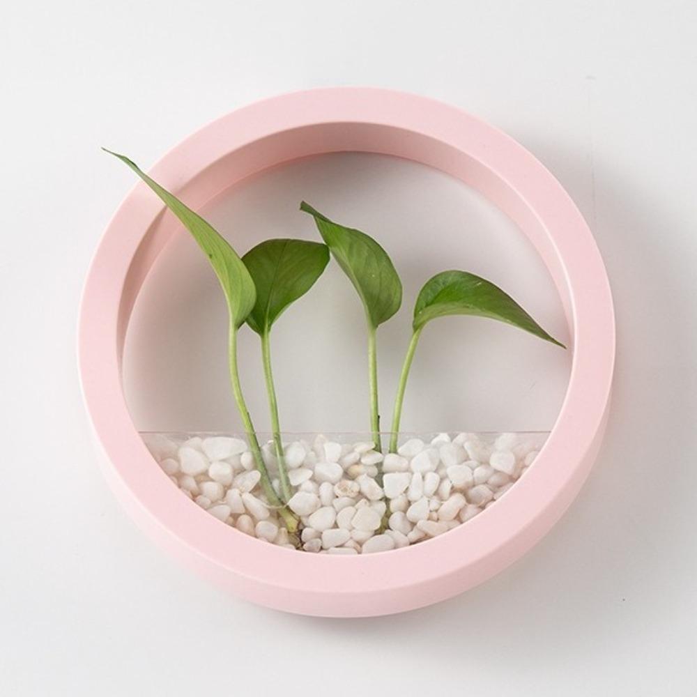 Plastic Hydroponic Vase Round Plant Container Creative Flower Arrangement Office Display