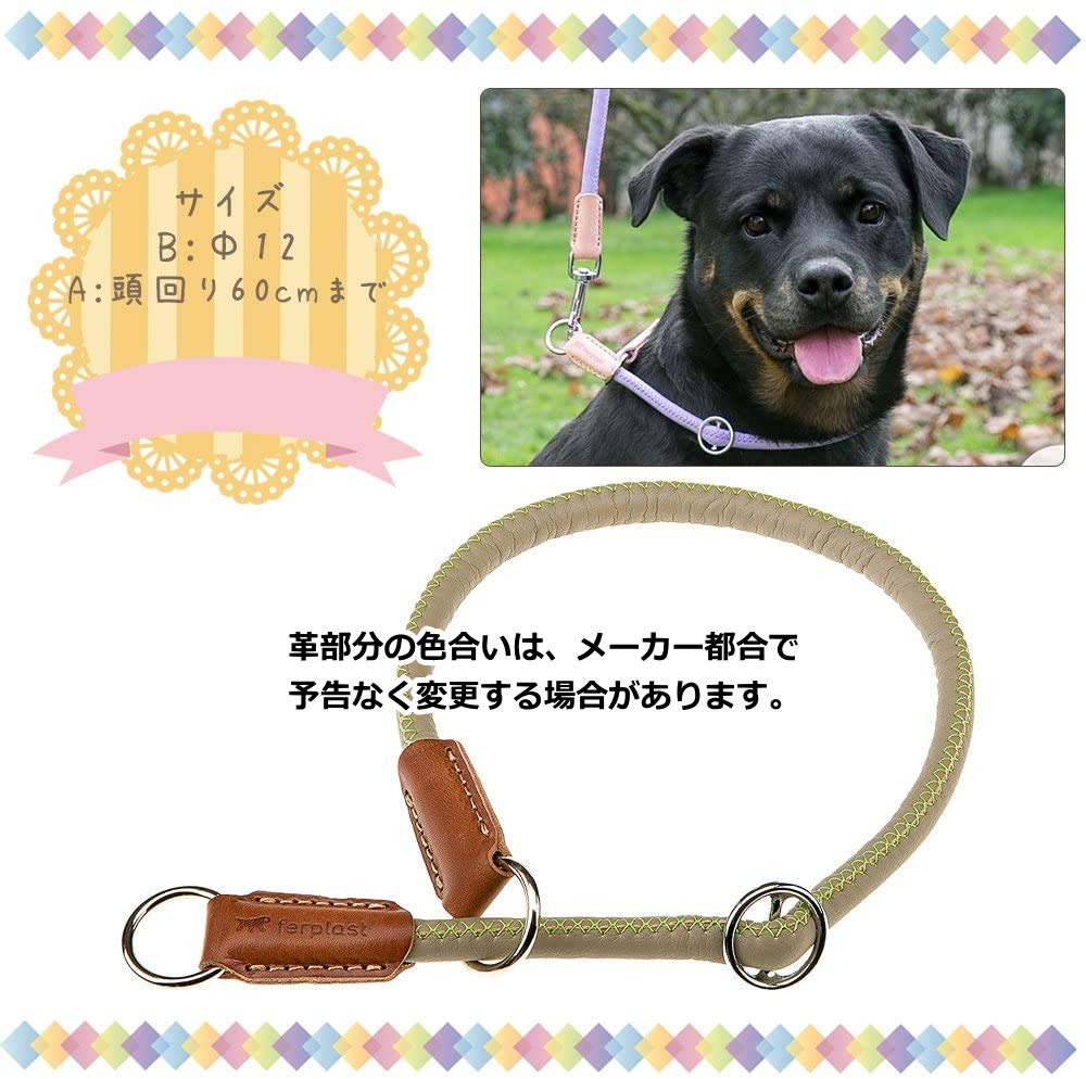 Ferplast Derby Chalk Collar, Green, GS12/60