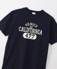 Champion Basic Short Sleeve USA Crew Men's T-Shirt, Navy, 100% Cotton, Print, Neck, C3-B344