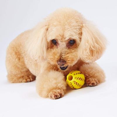 Petio Hundespielzeug TREATS LOVER Ball S