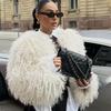 Women's clothing autumn and winter beach sheep hair imitation fur new artificial fur street girl long-sleeved top short