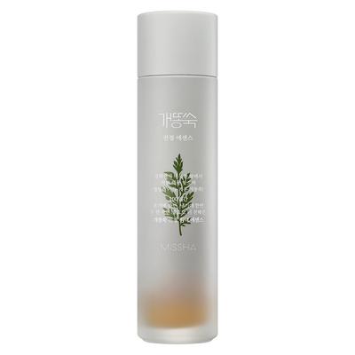 Artemisia raminamasis esencinis vanduo, 150 ml, 1 vienetas