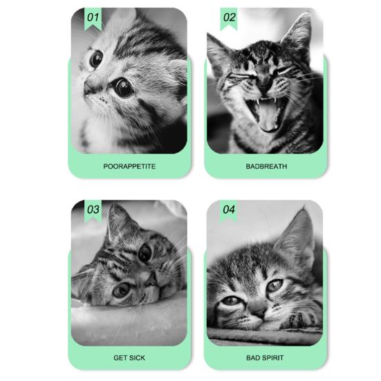 Cat Lick Ball Natural Catnip Ball Cat Chew Toy Wall Mounted Rotatable Ball Cat