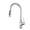 Qidanna Kitchen Pull-Out Faucet