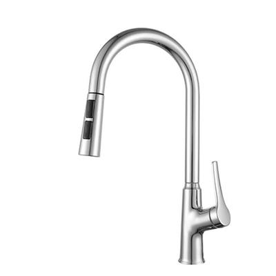 Qidanna Kitchen Pull-Out Faucet