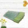 Eyelash Mascara Tool Disposable Eyelash Applicator Makeup Green 9.70x0.70x0.70CM Separating Eyelashes 100Pack