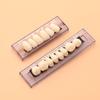 Resin Dental Synthetic Polymer Denture Card Model