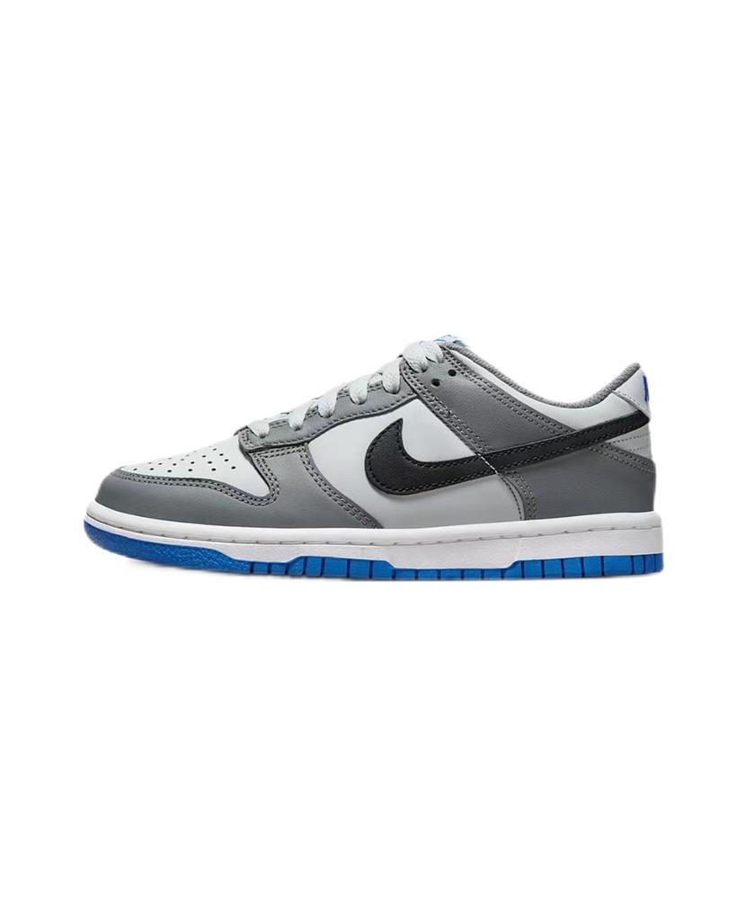 Nike Dunk Low Cool Grey Photo Blue  FB9109-001