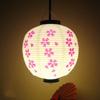 30cm Japanese Izakaya Outdoor Waterproof Decor Lanterns Sake Sushi Lamian Noodles Salmon Cuisine Restaurant Advertising Lantern