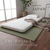 IKEHIKO Japanese-Made Igusa Mattress, Tri-Fold, Single Size, Approx. 100 x 210 cm, Green, Made in Japan, Floor Mat #1110830011738