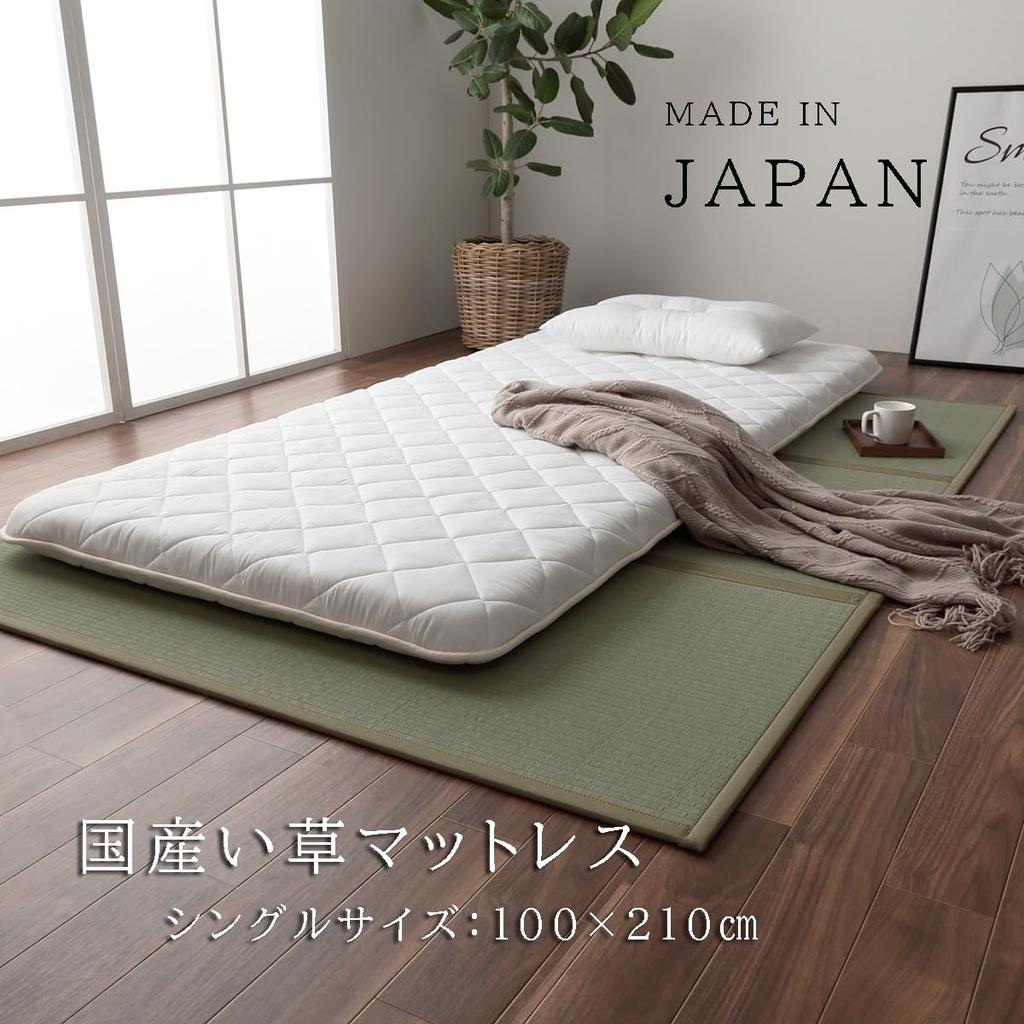 IKEHIKO Japanese-Made Igusa Mattress, Tri-Fold, Single Size, Approx. 100 x 210 cm, Green, Made in Japan, Floor Mat #1110830011738