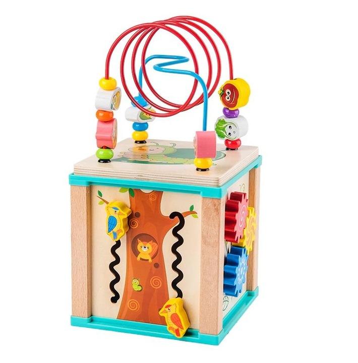 Kostra Edukacyjna Sorter Montessori Drewniany Interaktywny Z Labiryntem 5W1