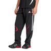 adidas Teamgeist Adicolor Track Pants Kd5866