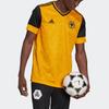 Adidas Wolverhampton Wanderers FC Home Jersey Short Sleeve V-Neck 20/21 Season Men Sports Jersey Black Yellow FJ4503