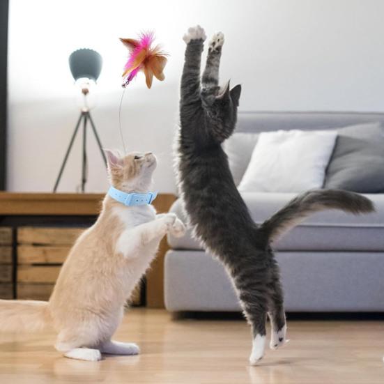 Cat Collar Feather Toy Interactive Cat Feather Wand Toy Hands Free Cat Teaser Wand with Bell Adjustable Collar for Indoor Kitty Solo Play