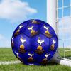 Futebol – Bolas de futebol