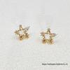 Pendientes – Pendientes de clavel