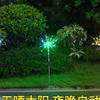 Waterproof Solar Dandelion Firework String Lights for Garden and Lawn Decoration