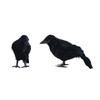 Plastic Simulation Crow With Feather Fake Bird Raven Model Photography Props For Halloween Party Decor