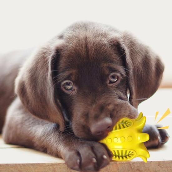 TPR Octopus Dog Chew Toy Bite Resistant Squeaky Floating Octopus Interactive Toy Small Medium Large Dogs Teething Cleaning Boredom Enrichment Toy