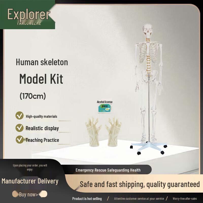 170 см Аварийная тренировочная модель человеческого скелета