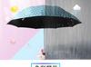 Paradise Umbrella New Product Vinyl Sun Protective Extra Large Double Umbrella Surface 2-3 People Use UV Protection Sun Umbrella Sun Umbrella