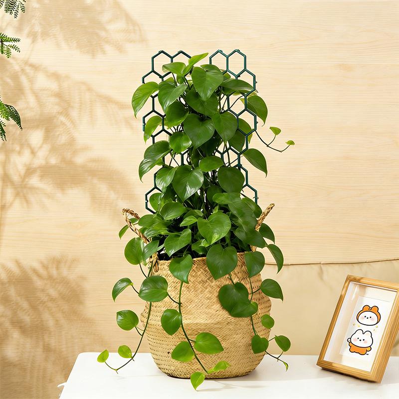 1 5Pcs Honeycomb Plant Support Trellis Plastic For Potted Climbing Vines Perfect For Home And Office Tabletop Decor