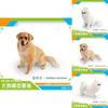Realistic Large Pet Dog Model Pvc Toy For Childrens Educational Play And Desktop Decor