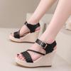 New Wedge Heel Women's Sandals Fashionable Platform Muffin Heel High Heel Straw Woven Daily Sandals