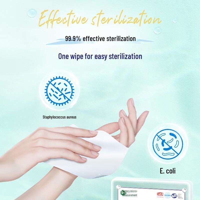 Tempo Sanitizing Wipes