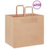 Paper Bags 250 Pcs. With Handles Brown 32X22X28 Cm