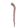 Cartoon Worm Shaped Potted Plant Moisture Monitor Soil Humidity Tester Plant Support Stake For Indoor Outdoor Houseplants