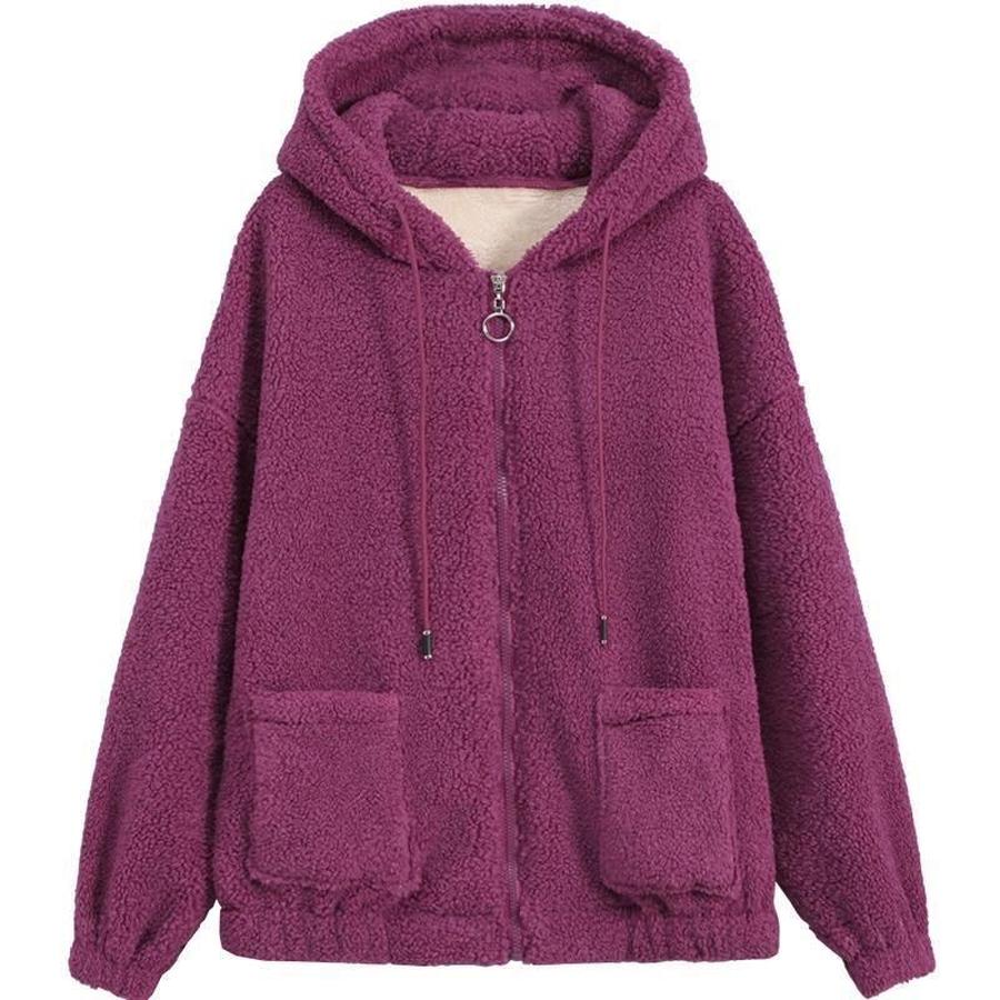 Solid Color Lamb Wool Fleece Hoodie Women's Thick Winter Loose Korean Style Teddy Fleece Zip-Up Casual Coat