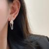 Chain Earrings Female Spicy Girl Personality Tassel Earrings Niche Senior Sense Light Luxury Retro Earrings Elegant Accessories Classic Jewelry Casual