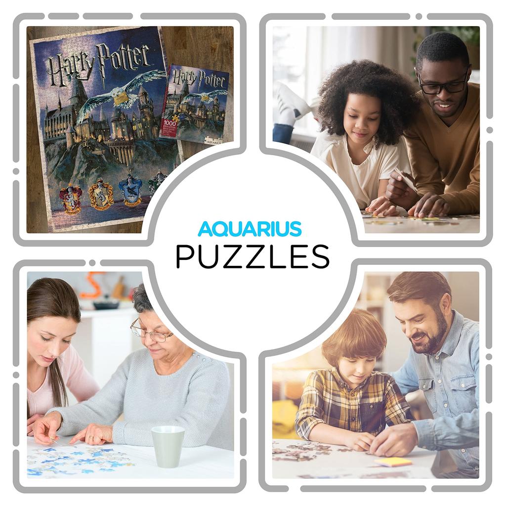 Signs-unique Harry Potter Hogwarts 1000-Teile Puzzle (Harry Potter Hogwarts Puzzle NM) Schwarz [Gebraucht]