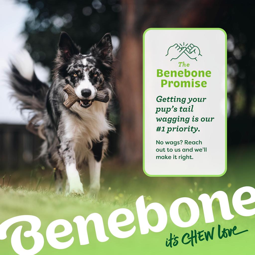 Benebone Medium Maple Stick Chew Toy