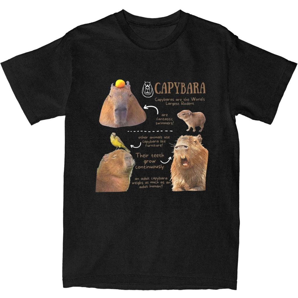 Crazy Capybara Fun Facts T-Shirts Men Women Cotton Cute Capybaras Tees Shirt Gift Idea Clothes