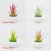 Succulent Aloe Vera Fake Green Potted Plant For Desktop Decoration And Gift Idea