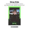 Stray Kids 2nd World Tour MANIAC in Seoul SKZ MERCH PRE-ORDER SPECIAL GIFT Official Photocard