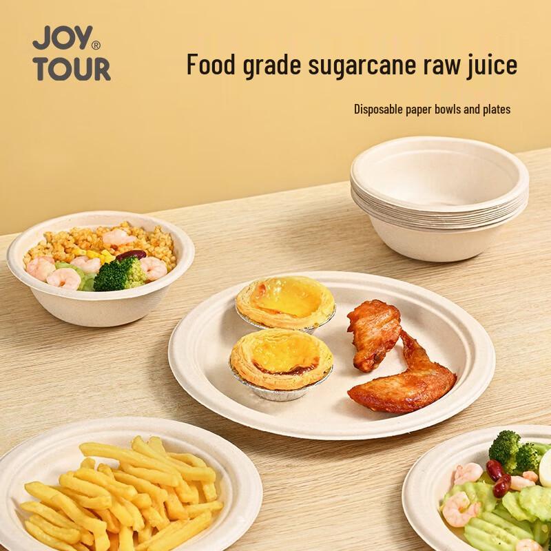 JOYTOUR 9-inch Disposable Picnic Plates 9 inch