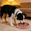 Slow Feeder Dog Bowl Slow Feeding Pet Bowl Maze Puzzle Bowl Prevents Choking Gulping for Dogs And Cats Healthy Eating