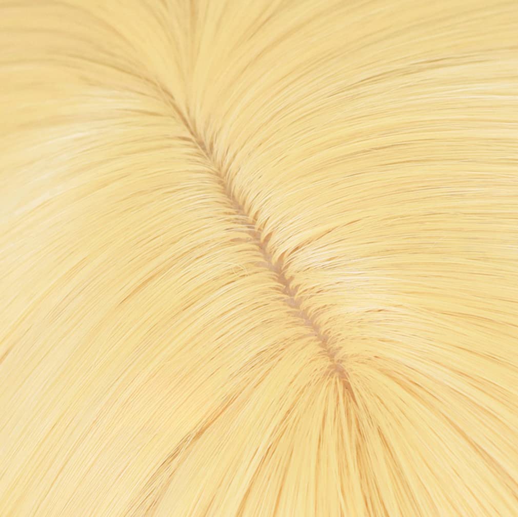 LAOBAO Cosplay Wig, Blonde Ponytail, Lolita, Harajuku Style, GAL Style, Hairpiece, Twintails, Heat Resistant, Disguise Wig, Costume Accessory, Party,