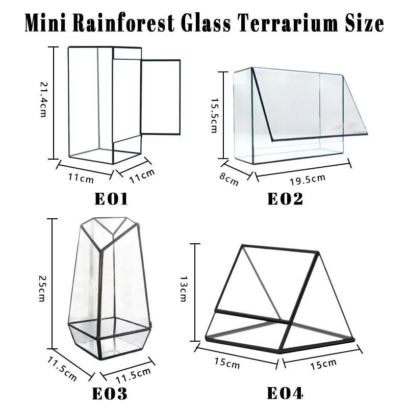 Mini Ver Rainforest Fougère Mousse Carré Écologique Géométrique Miniature Terrarium en Ver Pot à Plantes Récipient Serre de Table