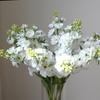 10pcs Silk Purple Hyacinth Artificial Flowers Balcony Decorative Simulation Violet Swallow Grass Fake Flower Cafe Decoration