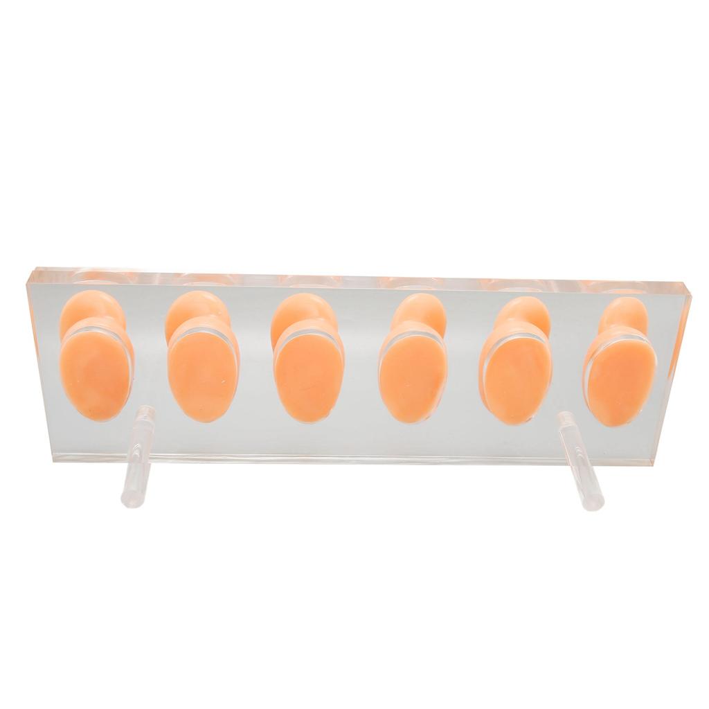 6 Pcs Silicone Ear Model Soft Waterproof Simulated Silicone Ear Model Hearing Aid Accessories with
