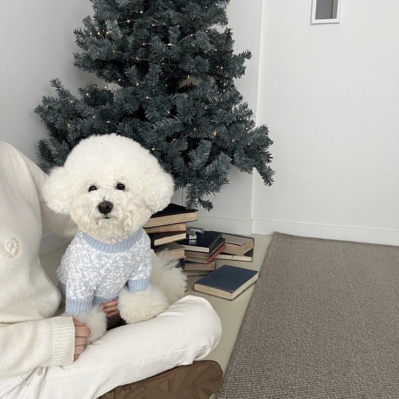 Pet Sweater Autumn Dog Clothes Teddy Bichon Pomeranian Schnauzer Yorkshire Terrier Small Dog Clothing Autumn