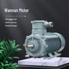 Anhui Wannan Explosion-Proof YBX4 Series Full Copper Coil Three-Phase Motor