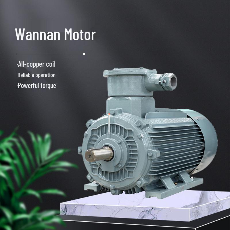 Anhui Wannan Explosion-Proof YBX4 Series Full Copper Coil Three-Phase Motor